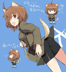  :d ahoge animal_ears ass bag bike_shorts blue_background blush brown_eyes brown_hair chibi dog_ears dog_girl dog_tail female inufusa_yuno looking_at_viewer open_mouth shimada_fumikane short_hair simple_background smile solo standing tail translation_request world_witches_series 