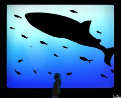  aquarium brown_hair chie_(lcddem) commentary copyright_name dark female fish hair_ornament lcddem looking_away midorikuzira short_hair shorts silhouette solo tears underwater whale 