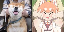  animal animal_ears breasts canine cheek_press cheek_squash collar creature_and_personification curled_tail dog_(shiba_inu)_(kemono_friends) dog_ears dog_girl dog_tail face_grab female hands_on_another&#039;s_cheeks hands_on_another&#039;s_face highres holding holding_animal holding_dog kemono_friends large_breasts nanachii_(nanatidayo) photo-referenced photo_inset reference_inset shiba_inu smile squeezing_cheeks tail 