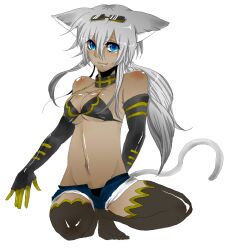  animal_ears aqua_eyes bare_shoulders breasts cat_ears cat_tail cleavage dark_skin denim denim_shorts elbow_gloves gloves highres kaiten_muten-maru shamu_meruruusa short_shorts shorts solo tail thighhighs white_hair 