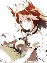  animal_ears breasts cat_ears copyright_request female maid medium_breasts shunsei_(muratou) solo 