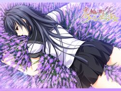  alpha black_hair brown_eyes crying flowers kourin_no_machi_lavender_no_shoujo long_hair sakuragi_hikaru seifuku tears watermark 