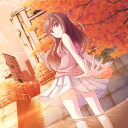  autumn autumn_leaves bad_id bad_pixiv_id bare_shoulders black_eyes black_hair building city clock dutch_angle female foreshortening from_behind hair_ribbon lamppost light_smile long_hair looking_back miniskirt original outdoors outstretched_arms overgrown photoshop_(medium) pleated_skirt red_sky ribbon ruins skirt sky sleeveless solo spread_arms stairs sunset tree wading water white_skirt wind wind_lift yumemizuki 