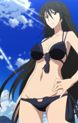  absurdres bare_shoulders bikini brown_eyes glasses hand_on_hip highres hips infinite_stratos long_hair midriff orimura_chifuyu side-tie_bikini sky swimsuit very_long_hair 