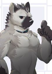  anthro arknights black_body black_fur black_hair black_nose claws collar collar_only eyebrow_piercing facial_piercing fur grey_body grey_fur hair half-closed_eyes hi_res hyena hypergryph looking_at_viewer male mammal multicolored_body multicolored_fur narrowed_eyes nokia1124_a nude piercing simple_background solo spot_(arknights) spotted_hyena studio_montagne two_tone_body two_tone_fur 