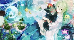  1boy bad_id bad_pixiv_id flower green_eyes green_hair holding holding_pokemon hou_(ppo) long_hair n_(pokemon) no_headwear photoshop_(medium) pokemon pokemon_(creature) pokemon_bw reshiram snow_globe solosis vanillite water whimsicott zorua 