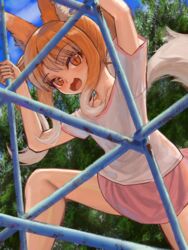  :3 animal_ear_fluff animal_ears climbing collarbone commentary_request day female flat_chest gradient_hair grey_hair highres jungle_gym long_hair looking_at_viewer miniskirt multicolored_hair open_mouth orange_eyes orange_hair original outdoors partial_commentary pink_skirt shimogami_ataru shirt short_sleeves skirt slit_pupils solo tail twintails white_shirt 