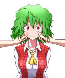  ascot bad_id bad_pixiv_id cheek_pinching female green_(midoriryuu) green_hair highres kazami_yuuka pinching plaid plaid_vest red_eyes shirt short_hair simple_background touhou vest white_background 