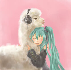  animal animal_hug aqua_hair blush chatarou closed_eyes detached_sleeves female hatsune_miku headphones llama long_hair open_mouth pink_background solo teeth upper_teeth_only very_long_hair vocaloid winamp wool 