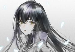  asawa_(dm_owr) bad_id bad_twitter_id black_hair expressionless falling_petals female from_side girls&#039;_frontline glowing glowing_petals hair_between_eyes hair_ornament highres isomer_hivemind_(girls&#039;_frontline) jacket long_hair looking_at_viewer looking_to_the_side nyto_(girls&#039;_frontline) paradeus parted_lips petals portrait see-through solo yellow_eyes 