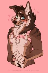  2021 5_fingers anthro blush canid canine cute_fangs fingers half-length_portrait harness heart_symbol hi_res male mammal nipples nude portrait samaella simple_background solo 