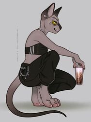  2021 absurd_res anchor_tattoo anthro beverage bottomwear bra chain_collar clothing collar crouching digitigrade domestic_cat felid feline felis female hi_res holding_beverage holding_object mammal pants samaella simple_background solo tattoo underwear 