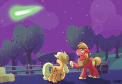  applejack_(mlp) ass big_macintosh_(mlp) blonde_hair clothing cutie_mark detailed_background duo earth_pony equid equine female feral freckles friendship_is_magic fur green_eyes hair hasbro hat hay headgear headwear horse lostinthetrees_(artist) male mammal meteor my_little_pony night outside pony sky star starry_sky 