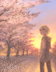  blonde_hair blue_eyes cherry_blossoms female hood hood_down hoodie lowres original outdoors smile solo sunrise weno weno&#039;s_blonde_original_character 