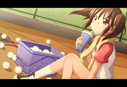  ball commentary_request drink drinking_straw female highres letterboxed racket sawanatsu_kotone shoes sneakers softenni solo sportswear sweat takamine_tsukumo tennis_racket tennis_uniform 