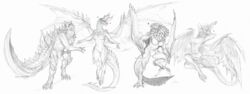  2022 3_toes 4_fingers 4_toes alatreon anthro bazelgeuse breasts brute_wyvern capcom claws digital_media_(artwork) dragon elder_dragon european_mythology featureless_breasts featureless_crotch feet female fingers flying_wyvern glavenus hi_res horn isvoc male membrane_(anatomy) membranous_wings monster_hunter mythological_creature mythological_scalie mythology non-mammal_breasts nude scales scalie spines tail toes velkhana western_dragon wings wyvern 