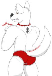  2019 alpha_channel anthro anthrofied ass bolt_(bolt) bolt_(film) briefs canid canine canis clothing collar conditional_dnp cracking_knuckles digital_media_(artwork) disney domestic_dog fur german_shepherd hair herding_dog male mammal muscular muscular_anthro muscular_male notkastar pastoral_dog red_briefs red_clothing red_collar red_underwear signature simple_background solo sound_effects teeth text transparent_background underwear white_body white_fur 