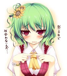  ascot blue_eyes blush bracelet check_translation commentary_request female fingers_together flower flower_bracelet green_hair hair_flower hair_ornament index_fingers_together jewelry kazami_yuuka kusano_(torisukerabasu) photoshop_(medium) plaid red_eyes solo tears touhou translated translation_request 