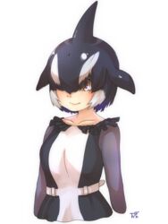  arms_at_sides artist_logo belt black_hair blowhole brown_eyes closed_mouth collarbone commentary cropped_arms cropped_torso dorsal_fin dress female fins frills grey_hair hair_over_one_eye head_fins highres kemono_friends long_sleeves multicolored_hair orca_(kemono_friends) parted_bangs purple_hair short_hair simple_background smile solo thin_(suzuneya) upper_body white_background 