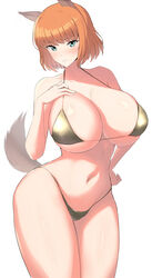  alternate_costume animal_ears bikini blue_eyes blush bob_cut brave_witches breasts cleavage closed_mouth collarbone commentary cowboy_shot curvy female gold_bikini groin gundula_rall halterneck hand_on_own_chest hand_on_own_hip highleg highleg_bikini highres huge_breasts looking_at_viewer micro_bikini navel orange_hair sideboob simple_background solo standing straight_hair string_bikini swimsuit tail thick_thighs thighs underboob v-shaped_eyebrows varie7k white_background wide_hips wolf_ears wolf_girl wolf_tail world_witches_series 