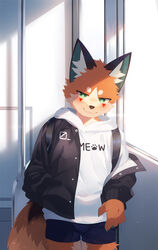  anthro backpack blue_bottomwear blue_clothing blue_shorts bottomwear canid canine cheek_tuft claws clothing detailed_background digital_media_(artwork) english_text facial_tuft finger_claws fox foxy_(nekojita) fur green_eyes hand_in_pocket hi_res hoodie inner_ear_fluff inside inside_train jacket kemono male mammal nekojita orange_body orange_fur pockets red_fox shaded shadow shorts smile solo standing tan_body tan_fur text topwear train true_fox tuft vehicle white_clothing white_hoodie white_topwear 