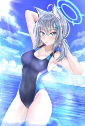  absurdres animal_ear_fluff animal_ears black_one-piece_swimsuit blue_archive blue_eyes blue_sky breasts cleavage cloud competition_swimsuit covered_navel cross_hair_ornament day extra_ears female grey_hair hair_ornament halo highres horizon low_ponytail medium_breasts medium_hair mismatched_pupils multicolored_clothes multicolored_swimsuit ocean official_alternate_costume one-piece_swimsuit outdoors reneua shiroko_(blue_archive) shiroko_(swimsuit)_(blue_archive) sky solo swimsuit wading water wolf_ears 