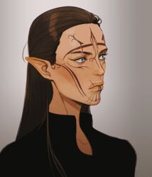  blue_eyes brown_hair character_request cheetahman_(1ddghfr78cswc) dragon_age elf facial_tattoo female grey_background hair_pulled_back long_hair looking_to_the_side pointy_ears scar scar_on_face shirt simple_background solo tattoo upper_body 