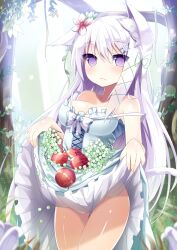  animal_ears apple ass_visible_through_thighs blush breasts cat_ears commentary_request dress female flower food fruit grapes hair_flower hair_ornament hair_ribbon highres holding kakao_(chocolate_land) long_hair medium_breasts original purple_eyes ribbon skirt_basket solo tree white_hair 