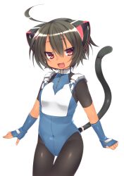  :d absurdres animal_ears black_hair blush bodysuit breasts cat_ears cat_tail commentary_request dancho_(dancyo) female fingerless_gloves gloves highres looking_at_viewer oerba_yun_fang open_mouth original pantyhose red_eyes short_hair simple_background small_breasts smile solo tail tan white_background 