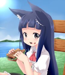  animal_ears black_eyes blue_hair blush cat_ears commentary_request eating female food kemonomimi_mode long_hair noa_(nagareboshi) open_mouth outdoors sandwich solo sword_art_online yui_(sao) 