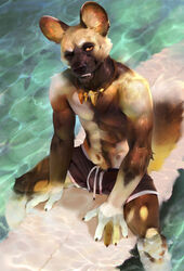  5_fingers adelaherz african_wild_dog ambient_fish ambient_sealife anthro athletic big_ears black_bottomwear black_clothing black_nose black_shorts bottomwear canid canine claws clothing detailed_background fari_paredes finger_claws fingers fish fur fur_pattern fuzzy_tail hi_res inner_ear_fluff jewelry looking_at_viewer male mammal marine multicolored_body multicolored_fur navel necklace nipples one_eye_closed orange_sclera outside partially_submerged pink_nipples shorts sitting solo surfboard swimming_trunks swimwear teeth tooth_necklace tuft water 