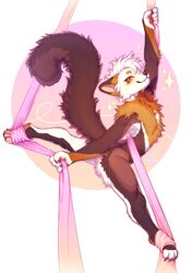  2020 aerial_silk anthro arm_tuft azuza black_claws brown_body brown_fur brown_nose butt_tuft cheek_tuft chest_tuft chise_(sailorrooscout) claws closed_smile dated elbow_tuft facial_tuft fangs femboy fluffy fluffy_tail full-length_portrait fur gulonine hi_res looking_at_viewer male mammal marten mouth_closed mustelid musteline narrowed_eyes nude orange_body orange_eyes orange_fur orange_sclera pine_marten portrait shoulder_tuft side_view signature simple_background smile solo sparkles tail teeth text toe_claws translated tuft white_body white_fur 