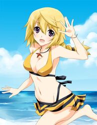  bad_id bad_pixiv_id beach bikini bikini_skirt blonde_hair braid breasts charlotte_dunois cleavage commentary_request day female infinite_stratos large_breasts long_hair navel ocean outdoors photoshop_(medium) purple_eyes solo swimsuit water waving yamaki_suzu 