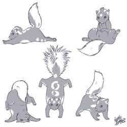  1:1 2019 ambiguous_gender big_tail feet feral fluffy fluffy_tail handstand hi_res lemmy_(lemmy_niscuit) lying mammal markings mephitid multiple_images nekostar pawpads sitting skunk slightly_chubby solo spotted_skunk symbol tail toes whiskers young young_feral 