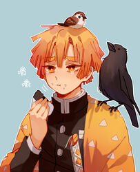  1boy absurdres agatsuma_zenitsu animal_on_head animal_on_shoulder bird bird_on_head bird_on_shoulder black_jacket blue_background chewing chuntarou_(kimetsu_no_yaiba) closed_mouth commentary crow demon_slayer_uniform food food_on_face glaring hand_up haori highres holding holding_food jacket japanese_clothes katana kimetsu_no_yaiba long_sleeves looking_at_viewer lower_teeth_only male_focus mogutofuoes on_head onigiri orange_hair short_hair simple_background solo sparrow sword tearing_up tears teeth upper_body weapon yellow_eyes yellow_jacket 