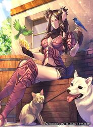  animal_ears armor barrel bird boots braid breasts brown_hair canine cleavage crate facial_mark feline female fire_emblem fire_emblem_awakening fire_emblem_cipher floppy_ears fur hair_around_ear hair_over_shoulder light_rays midriff official_art outdoors panne_(fire_emblem) purple_armor rabbit_ears rabbit_girl rabbit_tail red_eyes stone string_belt tail thighs twin_braids twintails weapon yoneko_okome 