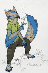  absurd_res ajshroy anthro avian beak biped bird clothed clothing digital_media_(artwork) feathers feet hi_res kona_(disambiguation) prehensile_feet solo standing step_pose toes 