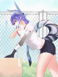  absurdres alternate_costume bandaged_arm bandages black_shorts blurry blurry_background clenched_hand commentary dragon_girl dragon_tail drinking_fountain female fence gym_uniform head_wings highres leaning_forward nijisanji nijisanji_en purple_eyes purple_hair selen_tatsuki shiroko_(koroshi110) shorts smile solo sweat tail tied_hair virtual_youtuber wings 