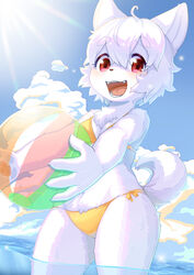  2020 4_fingers 848siba absurd_res ahoge albino anthro ball beach_ball bikini blush breasts brown_nose canid canine canis chest_tuft claws clothing cloud cute_fangs digital_media_(artwork) domestic_dog extended_arms fangs female female_anthro fingers fluffy fluffy_tail fur hair happy hi_res holding_ball holding_beach_ball holding_object inflatable kemono legs_in_water lens_flare looking_at_viewer mammal open_mouth open_smile outside partially_submerged pawpads portrait red_eyes sea short_hair side-tie_bikini side-tie_clothing side-tie_swimwear sky small_breasts smile solo string_bikini submerged_legs swimwear tail teeth three-quarter_portrait tied_bikini tied_clothing tongue tuft water wet white_body white_ears white_fur white_hair white_tail yellow_bikini yellow_clothing yellow_swimwear 