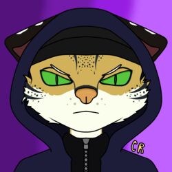  1:1 angry anthro clothing cyberrodrigo felid feline green_eyes hat headgear headwear hoodie leopardus male mammal ocelot rodrigo_(cyberrodrigo) solo topwear wool_clothing wool_hat wool_headwear 