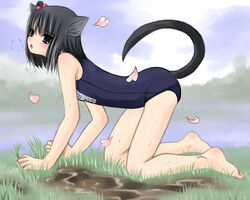  all_fours animal_ears bad_id bad_pixiv_id barefoot black_eyes black_hair blush cat_ears cat_tail cherry_blossoms cloud day feet female grass hair_bobbles hair_ornament heavy_breathing kanzaki_miku kuroinu one-piece_swimsuit open_mouth original petals puddle school_swimsuit side_ponytail solo sweat swimsuit tail 