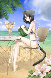  animal_ears bad_proportions ball barefoot beach beachball bikini black_eyes black_hair blush cat_ears cat_tail chair cloud commentary_request crossed_legs day female floral_print flower food fruit hair_bobbles hair_ornament halterneck hibiscus kanzaki_miku kuroinu long_legs navel ocean on_chair original outdoors parfait side-tie_bikini_bottom side_ponytail sitting sky solo swimsuit table tail watermelon watermelon_beachball 