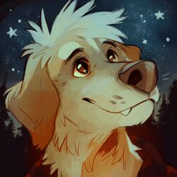  1:1 2016 brown_eyes bust_portrait canid canine canis celestial_star_polygon detailed_background digital_media_(artwork) domestic_dog eyebrows eyelashes jeniak male mammal night outside portrait sky smile solo star starry_sky 