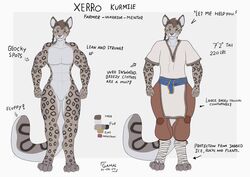  anthro clothed clothing felid fur gamal hi_res male mammal markings medival model_sheet muscular muscular_anthro muscular_male pantherine partially_clothed shirt snow_leopard solo spots spotted_body spotted_fur tan_body text topwear tunic white_body white_fur xerro_kurmile_(gamal) yellow_eyes 