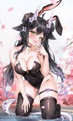  absurdres ahoge animal_ears ass_visible_through_thighs bare_arms bare_shoulders black_choker black_hair black_leotard black_thighhighs breasts cherry_blossoms choker cleavage collarbone covered_navel double_bun fake_animal_ears female flower green_eyes hair_bun hair_flower hair_ornament hand_on_own_thigh hand_up highleg highleg_leotard highres horns indie_virtual_youtuber kneeling leaning_forward leotard long_hair looking_at_viewer medium_breasts no_shoes nyxiena oerba_yun_fang playboy_bunny rabbit_ears rinkosannn skindentation smile solo strapless strapless_leotard thigh_strap thighhighs thighs very_long_hair virtual_youtuber 