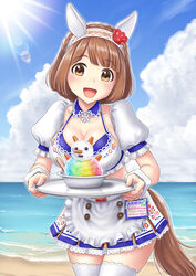  alternate_costume animal_ears aonuma_kiyoharu beach bikini braid breasts brown_hair cleavage collarbone commentary_request crown_braid ear_covers female food hair_ornament headband highres holding holding_tray horse_ears horse_girl horse_tail lens_flare looking_at_viewer medium_breasts ocean open_mouth outdoors shaved_ice sky solo swimsuit tail thighhighs translation_request tray umamusume waitress yukino_bijin_(umamusume) 