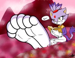  2017 absurd_res anthro blaze_the_cat cornchip21 domestic_cat english_text feet felid feline felis female foot_focus hi_res mammal sega solo sonic_the_hedgehog_(series) tails-chan text 