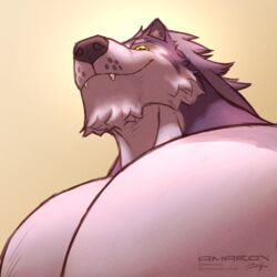  1:1 amarox amarox_(character) anthro big_pecs canid canine canine_teeth canis hair hi_res looking_at_viewer looking_down male mammal muscular pecs smile solo wolf yellow_eyes 