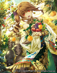  :o animal apple blush brown_hair bun-o carrying commentary_request cowboy_shot daffodil dappled_sunlight day detached_sleeves dress drill_hair dutch_angle earrings female flower food food-themed_hair_ornament frilled_sleeves frills fruit fruit_tree grapes grass green_dress guardian_cross hair_flower hair_fruit hair_ornament hat holding holding_food holding_fruit jewelry light_rays long_hair necklace official_art open_mouth orange_(fruit) outdoors photoshop_(medium) pig rainbow red_eyes shawl side_ponytail sidelocks solo square_enix sunlight tassel tree 