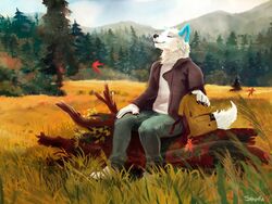  2021 5_fingers anthro black_nose canid canine canis clothed clothing day detailed_background digital_media_(artwork) fingers fur male mammal outside shalinka skoll_(wolf-skoll) sky smile solo white_body white_fur wolf 